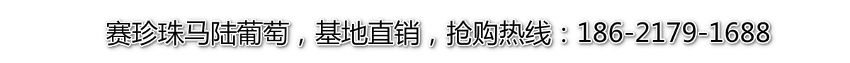 專(zhuān)業(yè)UV平板打印機(jī)制造商